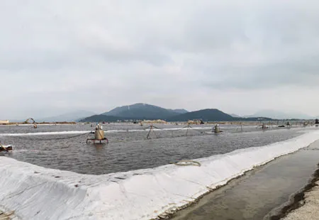 Instalación de Pilas de Tubo de Hormigón
