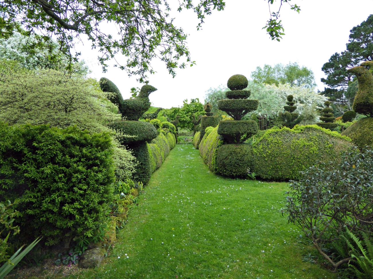 Long-Term Garden Care and Soil Health