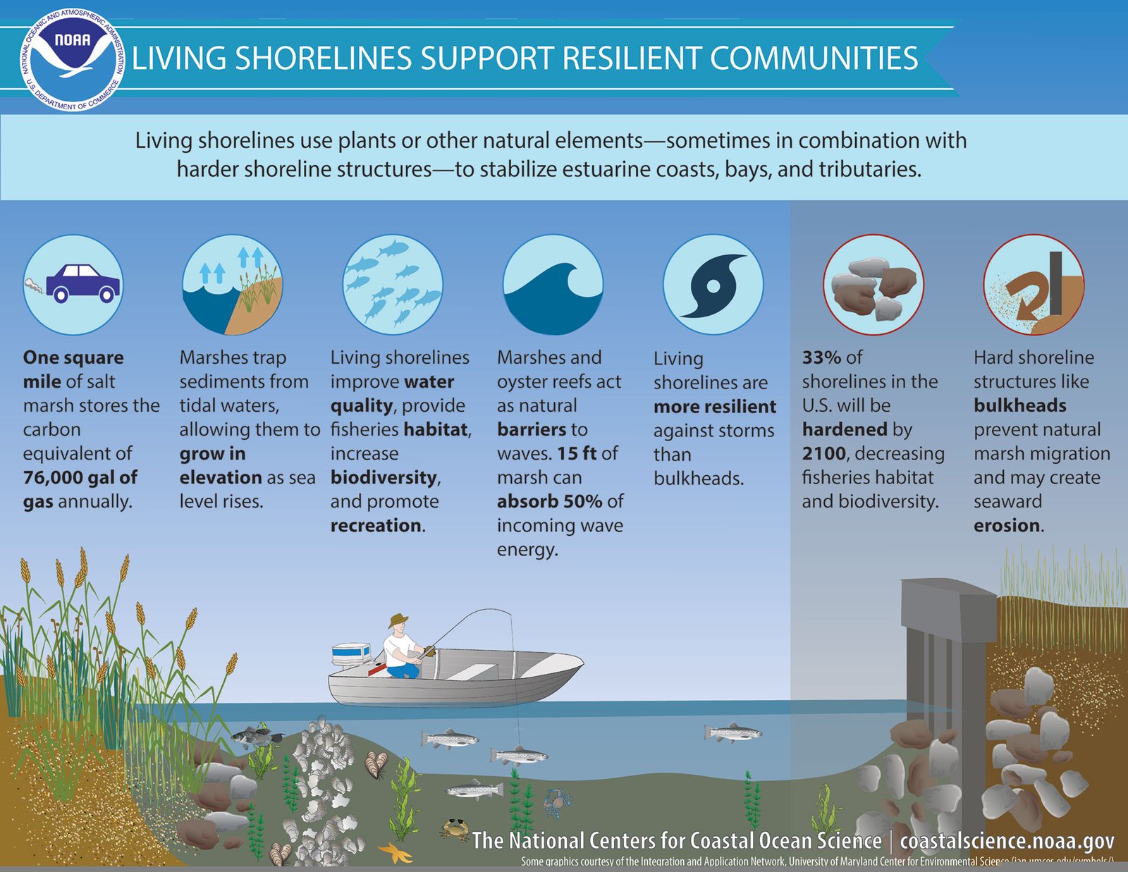 Living shorelines coastal protection