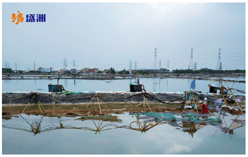 Vacuum Consolidation